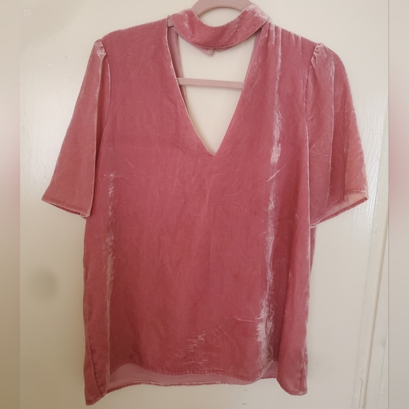 Paige Vintage Rose Velvet Cateline Top. - Picture 10 of 16